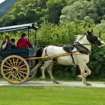 Eviston House Hotel