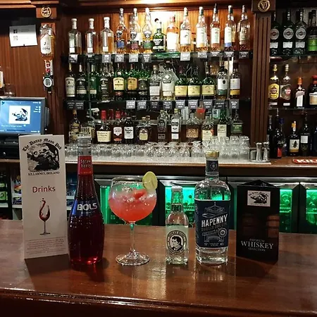 Eviston House Szálloda Cill Airne