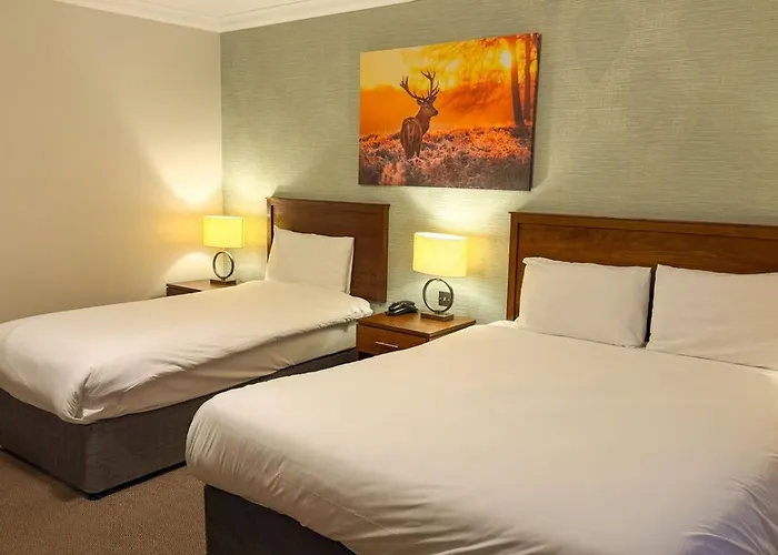 Otel Eviston House 3*