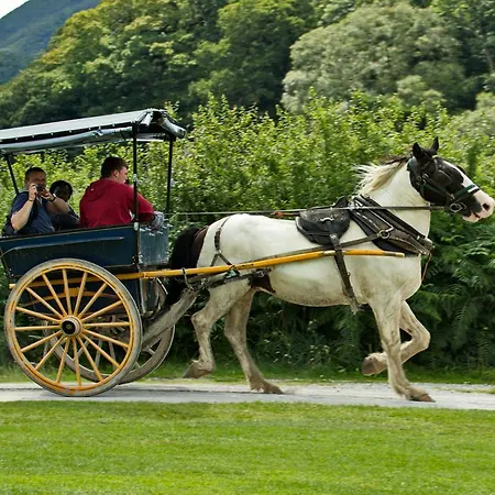 Eviston House Hotel