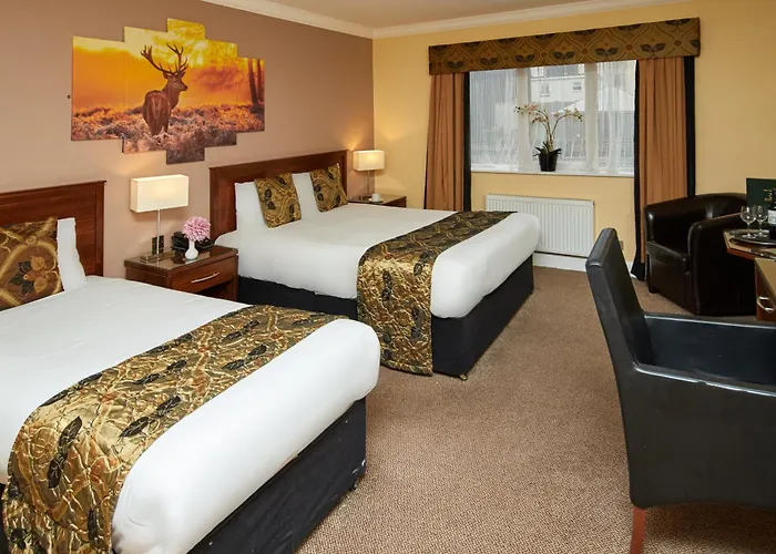 Eviston House ホテル キラーニー