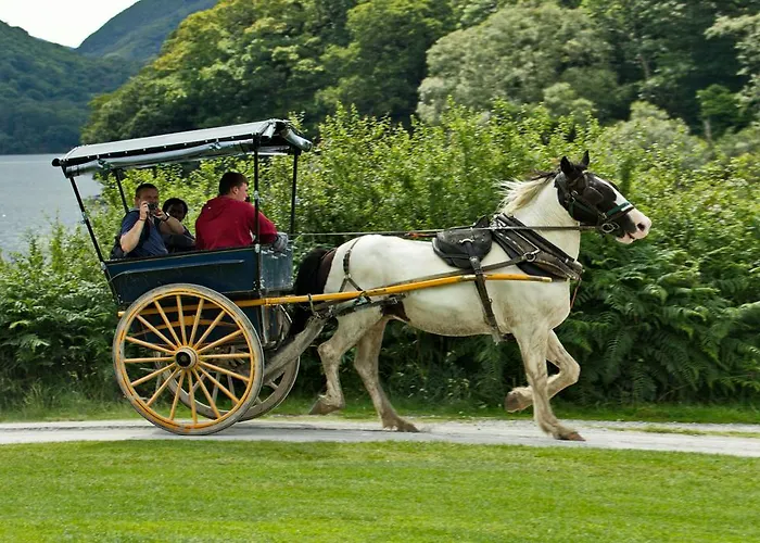 Eviston House ホテル